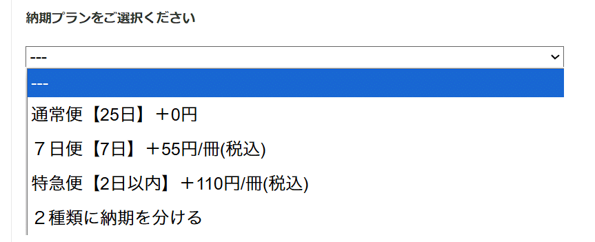納期プランの選択肢(2025年10月時点)